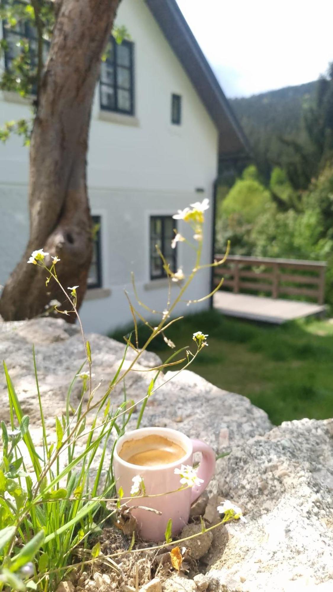 Antoniwald82 Josefuv Dul Villa Dış mekan fotoğraf