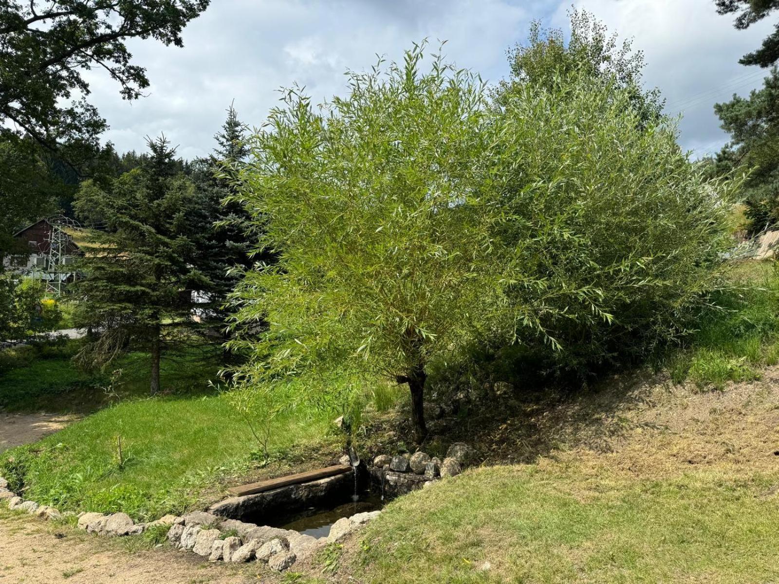 Antoniwald82 Josefuv Dul Villa Dış mekan fotoğraf